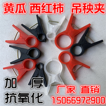 Tomato Tomato Cucumber Tied Crane Seedling Crane Clamp Crane Hollow Seedling Clip