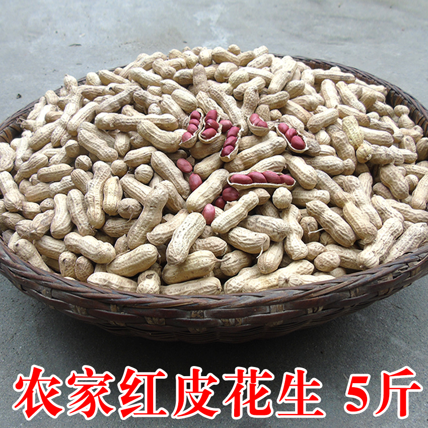 New red skin peanuts with shell farmers produce old varieties of small particles of peanuts red coat particles full porridge 5 kg