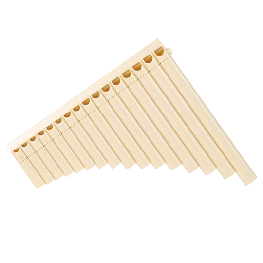 Introduction to national soul panpipe for primary school students