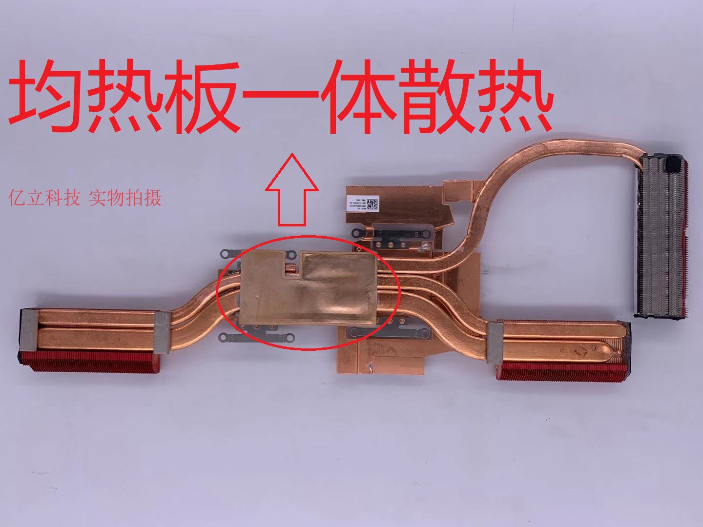 SUSTech ASUS flight fortress 7 FX95 FX95G FX95G FX505HD FX505HD fan radiator bottom shell