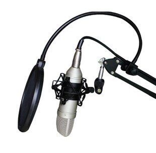 ISK AT100 capacitive microphone computer Internet K song recording song yy professional microphone suit
