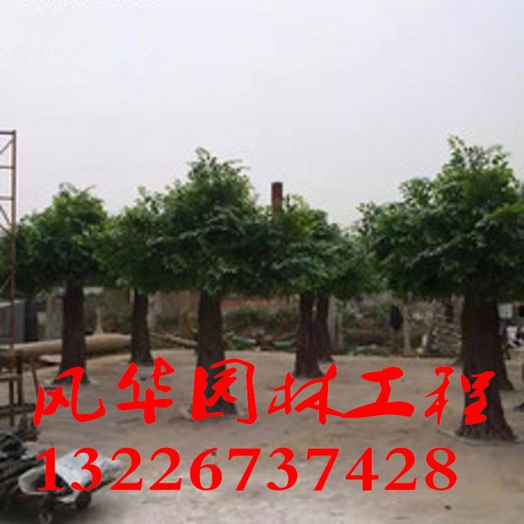 B&B, dining room, hotel, clubhouse, cave decoration, imitation wood guardrail, ecological park gate, simulation tree wrapping, pillar pavilion