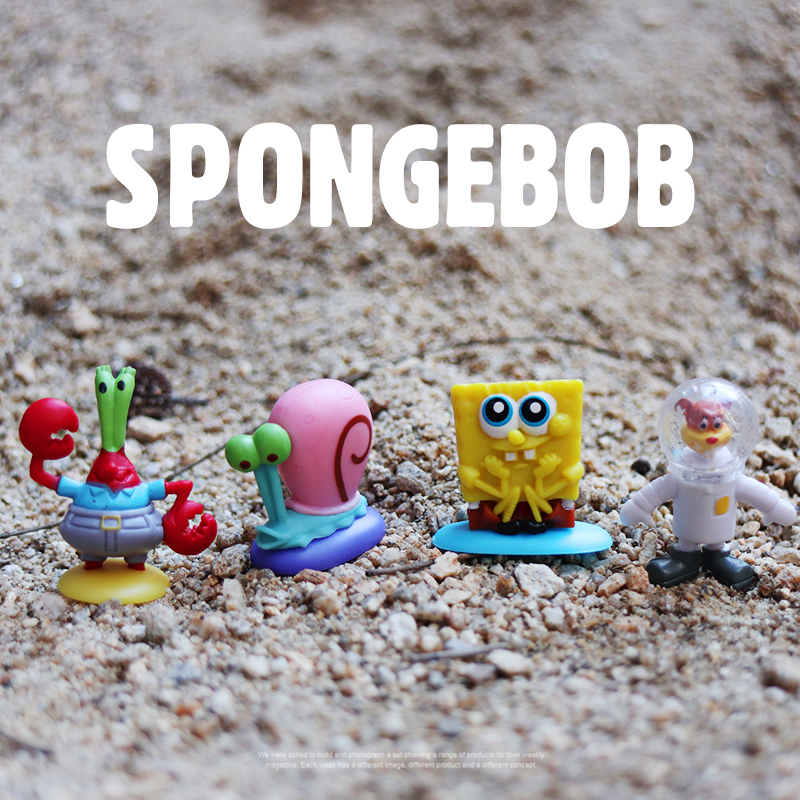 Creatures living on bikini beach