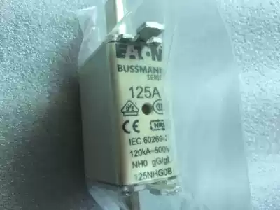100NHG0B125NHG0B Fuse Spot bargaining a large number of models not available