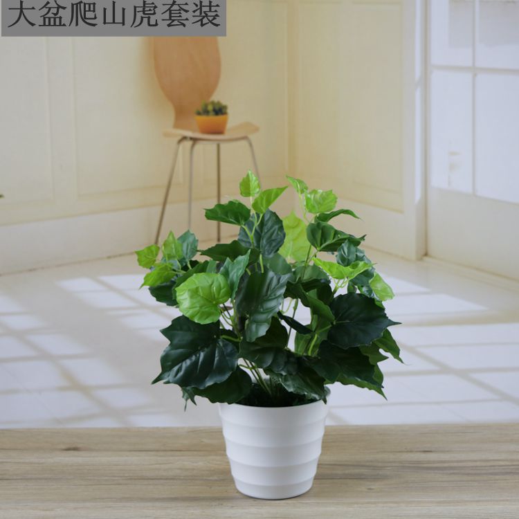 Cây mô phỏng cây giả cây xanh trang trí trong nhà và ngoài trời nhựa trong chậu củ cải xanh nhỏ chậu hoa nhân tạo và cây - Hoa nhân tạo / Cây / Trái cây hoa ly giả