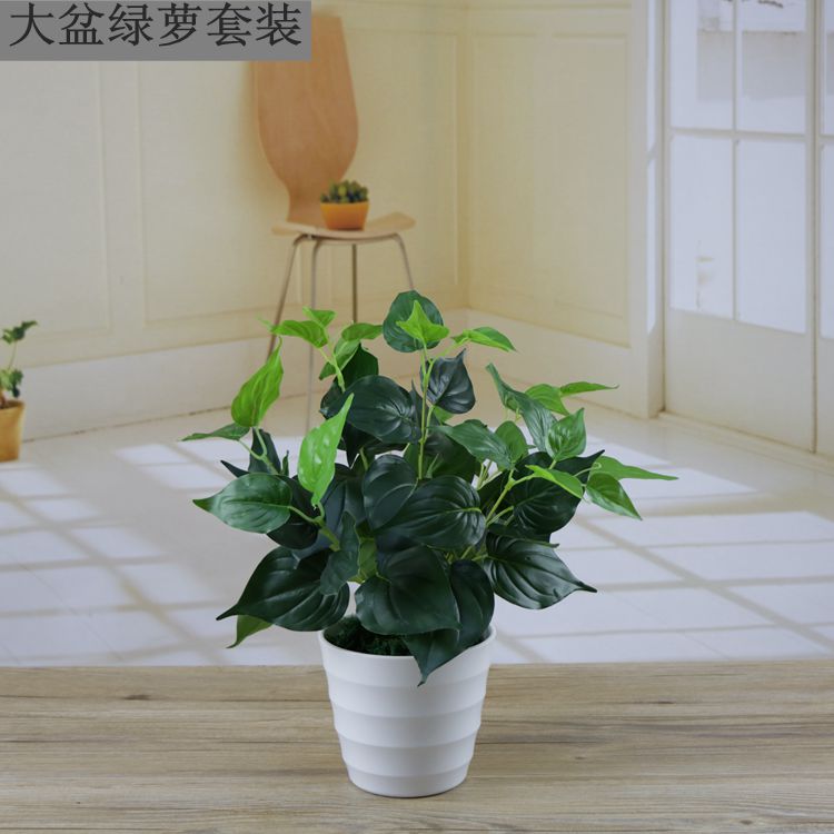 Cây mô phỏng cây giả cây xanh trang trí trong nhà và ngoài trời nhựa trong chậu củ cải xanh nhỏ chậu hoa nhân tạo và cây - Hoa nhân tạo / Cây / Trái cây hoa ly giả
