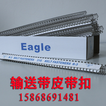 PVC conveyor belt industrial needle type flat belt flat buckle conveyor connecting head belt buckle wolf tooth stainless steel round nail buckle