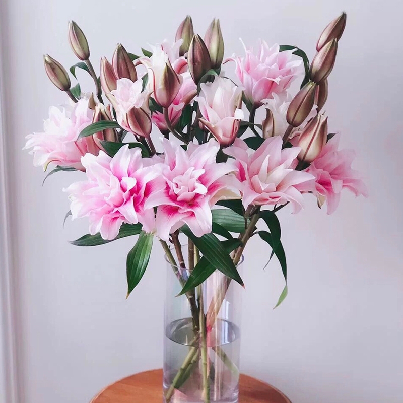 Double-Petaled Lilies, Fresh Cut Flowers, Multi-Petal Real Flowers, Water-Cultivated, for Weddings, Home Use, Fresh Flowers in a Vase, Express Delivery, Free Shipping Within the City