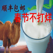 8kg camel milk camel milk pure milk camel fresh milk zero addition Shunfeng air nutrition High fresh camel milk
