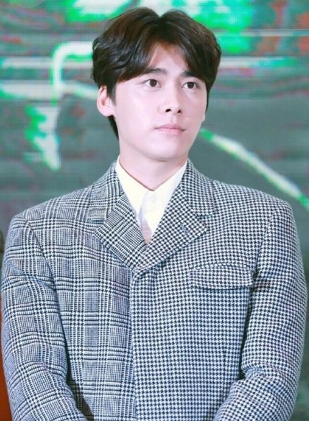 Perruque Harsh pelucheux confirme - Ref 2608147 Image 13