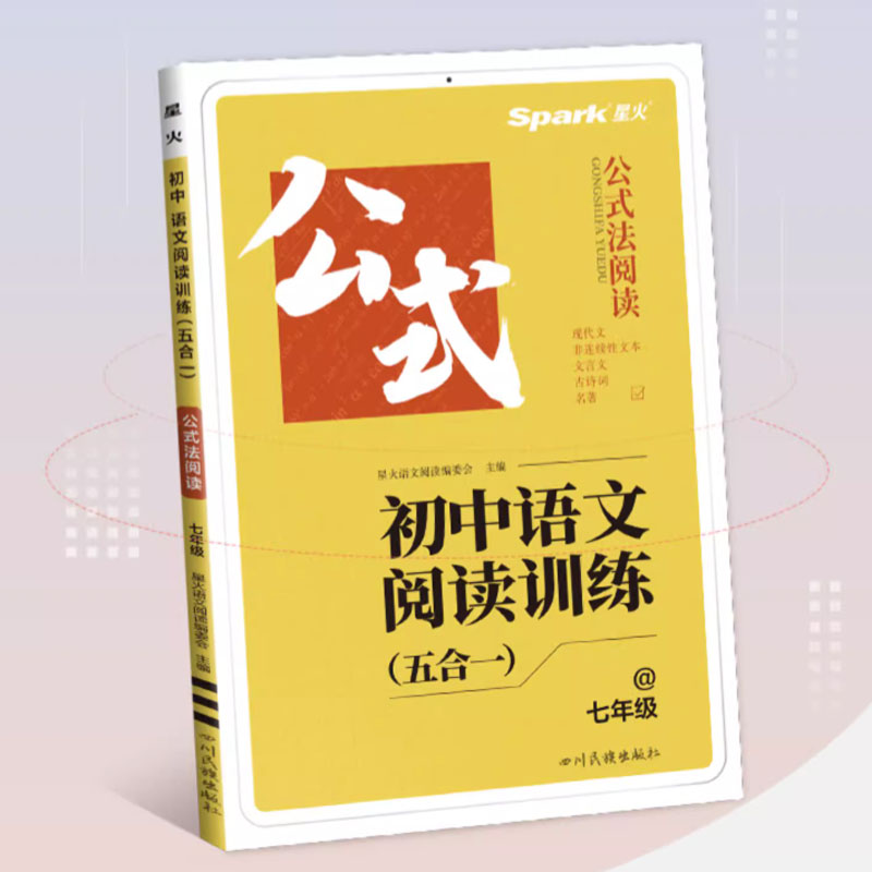 2024新星火初中语文阅读理解答题模板技巧专项训练中考七八九年级初一二三巅峰组合训练满分习题公式法现代文文言文课外教辅书资料