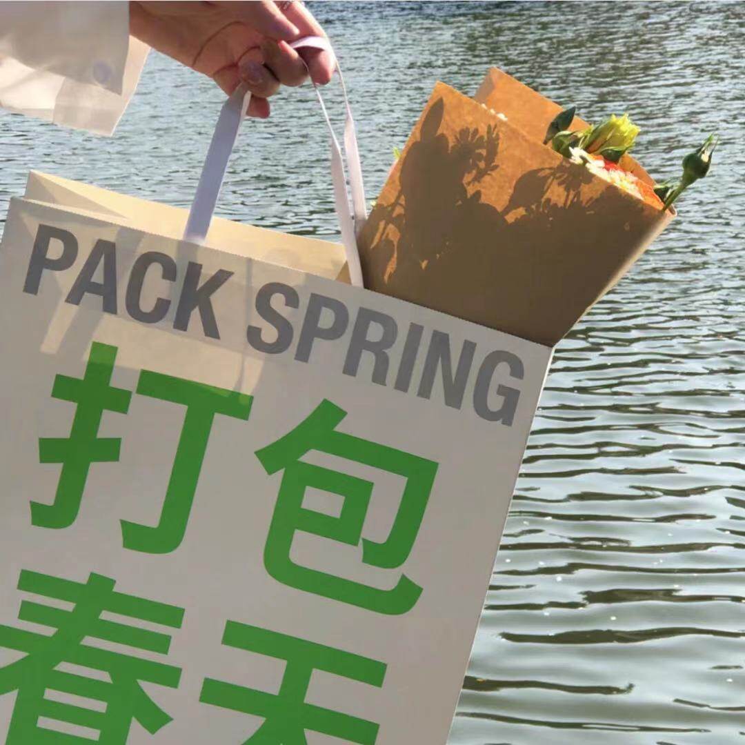 Pack Spring Picnic Bag Shooting Props Big Hand Minimalist Creative Gift Bull Leather Bag Gift Bag Send friends