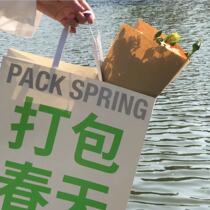 Pack Spring Picnic Bag Shooting Props Big Hand Minimalist Creative Gift Bull Leather Bag Gift Bag Send friends