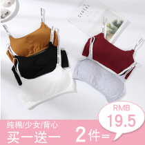Underwear schoolgirl high school girl thin cotton beauty back gathered non-steel breathable vest developmental sports bra