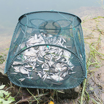 Fishing net Fish net Lobster net Shrimp net Fishing cage Automatic shrimp cage Fish cage Fishing artifact Eel loach cage Crab cage