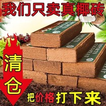 Coconut brick nutritious soil for growing flowers succulent green plants special soil for vegetable soil factory direct sales universal coconut bran coconut soil
