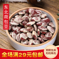 Northeast Pocketbean 450g Selected Metabean Farmers Home Large kidney bean Cereals Flowers with Beans Non-Spotted Mashed Beans