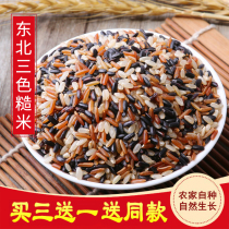2020 Northeast three-color brown rice 500g farmhouse self-planted new rice coarse grain grains low-fat satiety Rice
