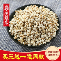 2020 Northeast small barley farmers self-planted 450g coix seed rice grains boiled barley rice red bean porridge raw materials