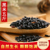 2020 northeast Black Rice 5kg farmhouse self-grown black japonica rice purple rice grains cooking porridge coarse grain black rice