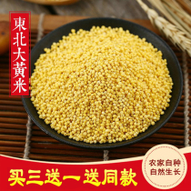 2020 northeast rhubarb rice 500g glutinous millet Heilongjiang farmhouse self-produced yellow sticky rice
