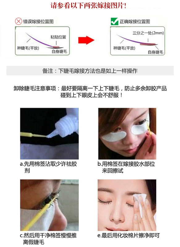 Hàn Quốc giả lông mi nữ mô hình tự nhiên mô phỏng hạt đơn ghép dưới lông mi 貂 tóc Mao Barbie uốn cong hoa trà - Lông mi giả