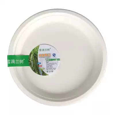 Painting 12-inch paper plate 30cm thickened dinner plate 10 kindergarten painting art disposable plate large