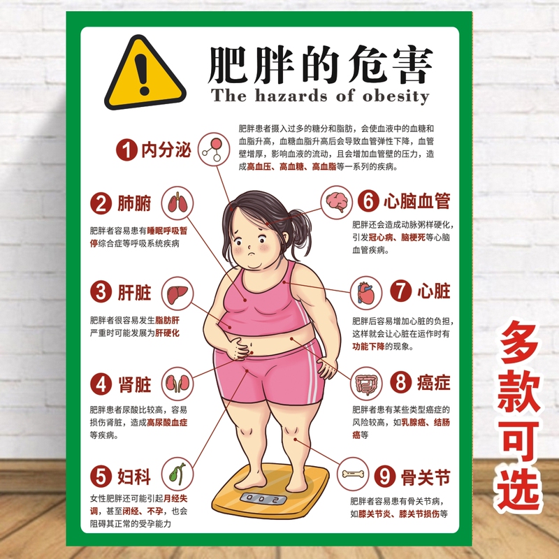 The Dangers of Obesity Waterproof Wall Stickers Self-Adhesive High-Definition Posters Meridian Weight Loss Health Advertisement Posters with Adhesive Backing