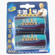 Nanfu Fenglan leak-proof No. 1 large battery gas stove gas stove gas stove battery 2-pack