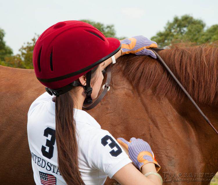 Article sports equestres - Ref 1379385 Image 22