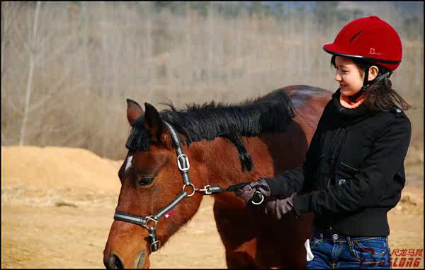 Article sports equestres - Ref 1379385 Image 31