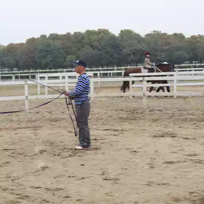 Field equestrian training whip whip long whip training horse training Training Training training long whip eight feet