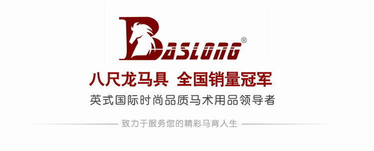 Article sports equestres BASLONG - Ref 1382976 Image 12