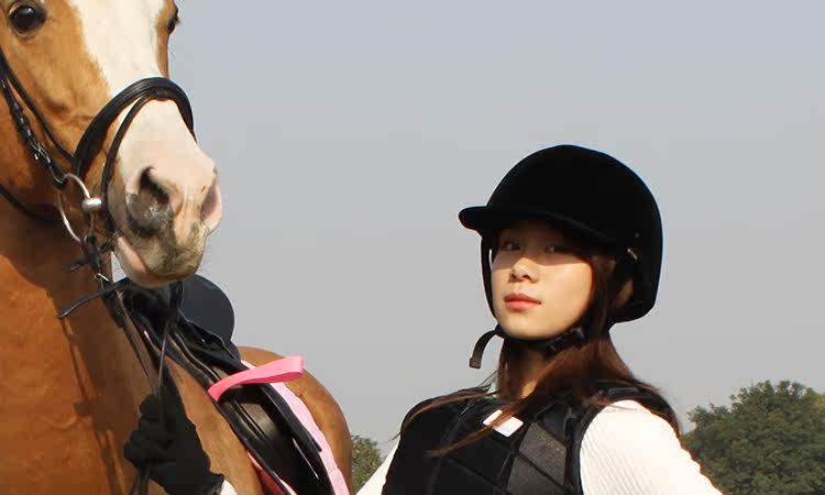 Article équitation - Ref 1381327 Image 15