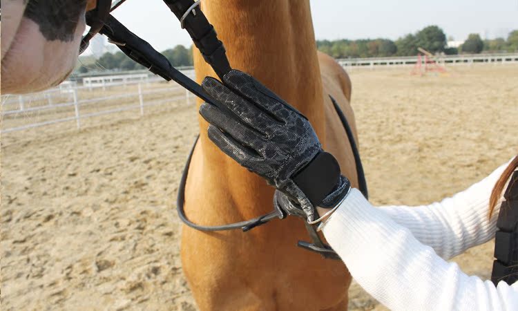 Article sports equestres - Ref 1380531 Image 14