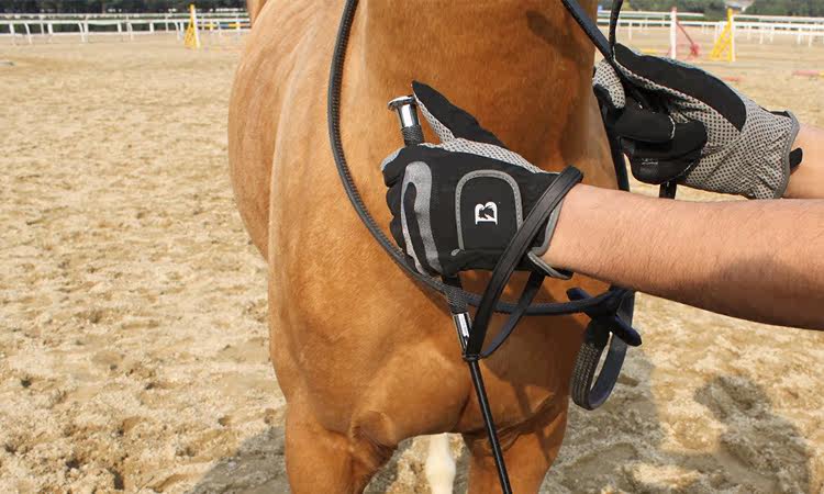 Article équitation en particules antidérapantes - Ref 1378832 Image 25