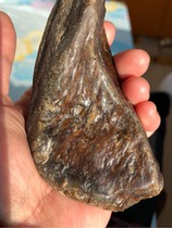 Heilongjiang ancient fern fossil natural translucent grass jade raw stone hand piece carving material ornament 258g