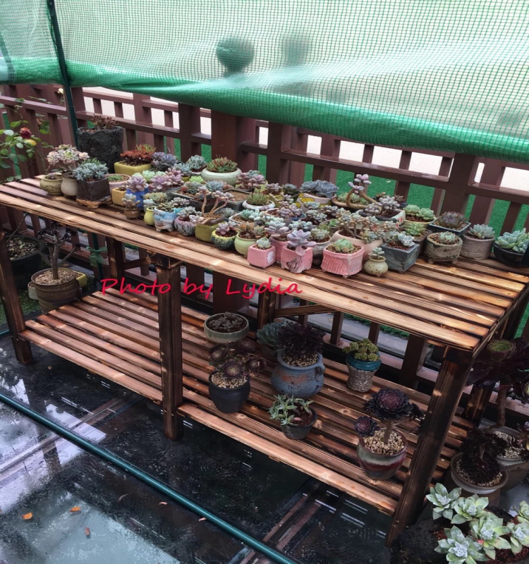 阳台多肉实木花架子简约层板碳化防腐木多功能隔板置物架新品包邮 Изображение 1