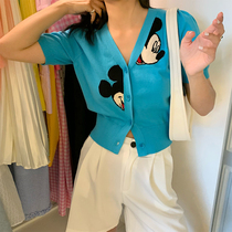 Loose Shess knit base shirt women 2021 short sleeve summer new V-neck sweater slim slim cartoon top