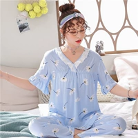 T Коротко -длинный голубой легированный