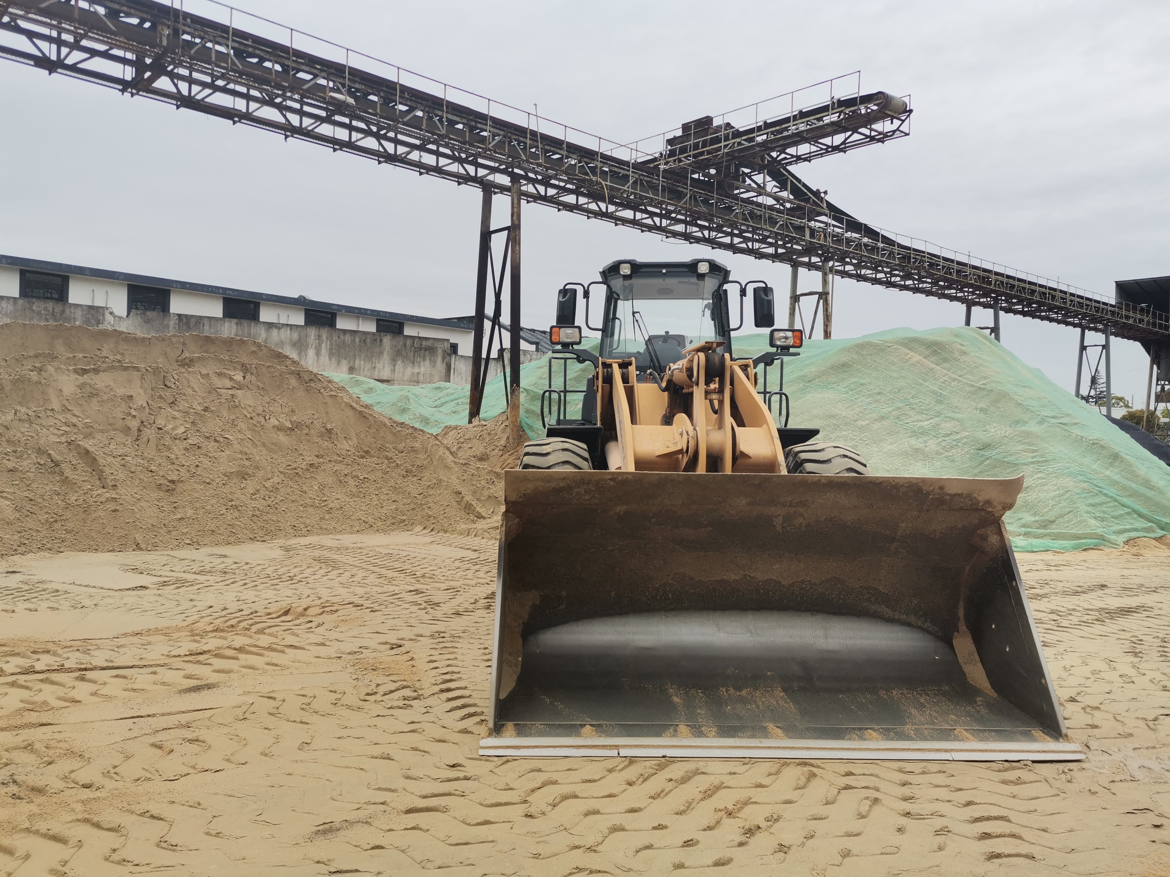 Shanghai sales of coarse sand bulk packaging trucks and trolleys huangsha cement free delivery wharf direct delivery project for special use