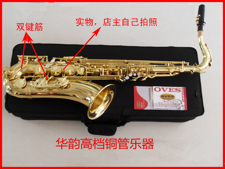Exit Standard R (Oves) T-818L drop in B tone Acoustic Sax Double Bond Fascia Tone
