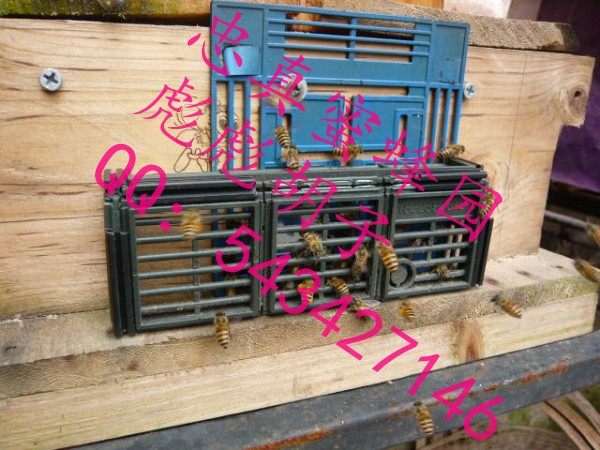 中蜂养殖GN箱 <wbr>多功能蜂箱囚雄收王分蜂笼 <wbr>隔王板 <wbr>防逃门栅 <wbr>霸王笼
