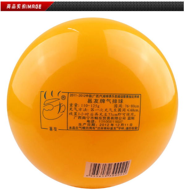 Ballon de volley - Ref 2010849 Image 16