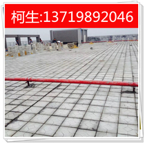 Roof heat insulation Roof heat insulation layer Heat insulation brick Roof heat insulation brick Roof sunscreen heat insulation brick Foam heat insulation brick