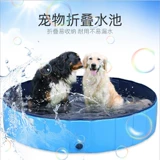 Ванна, складной бассейн, домашний питомец, кот