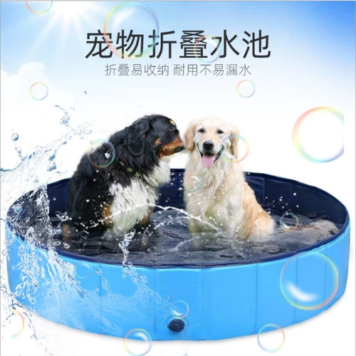 Ванна, складной бассейн, домашний питомец, кот