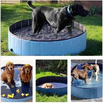 Pooch Shower Bath Pets Golden Hair Large Small Medium Canine Teddy Special Foldable Swimming Pool Kitty Bath Tub