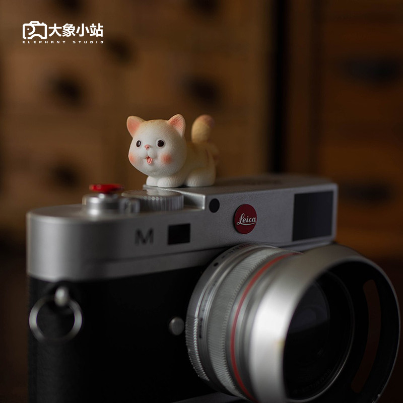 (Elephant Small Station) Hot Boots Protection Cover Creative Hot Boots Cover Camera Single Eye Micro Single Eye Camera Suitable for Micro Single Eye Camera Photography