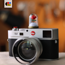 N PARK Little Prince Creative Camera Hot Shoe Cover Suitable for Fuji Sony Canon Nikon and Leica Accessories